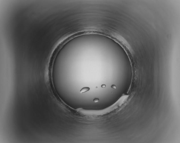 X0000102510928200808081407