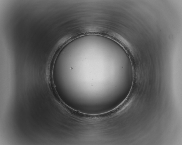 X0000102510930200808081407