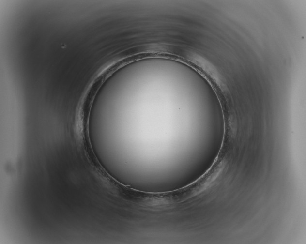 X0000102510931200808081407
