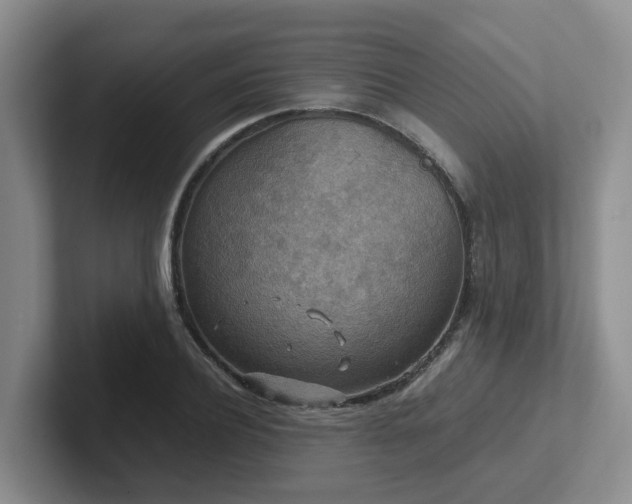 X0000102510932200808081407