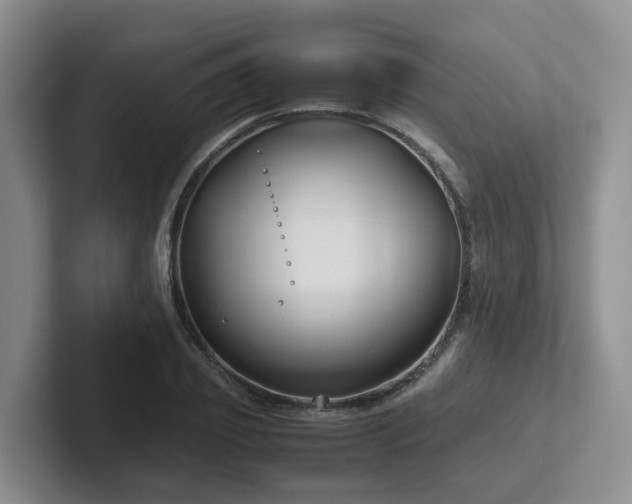 X0000102510933200808081407