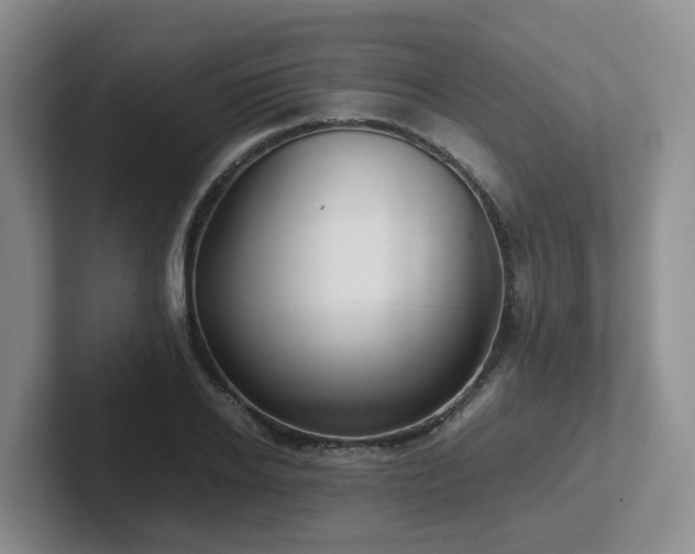 X0000102510934200808081407