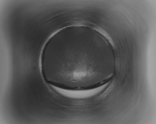 X0000102510935200808081407