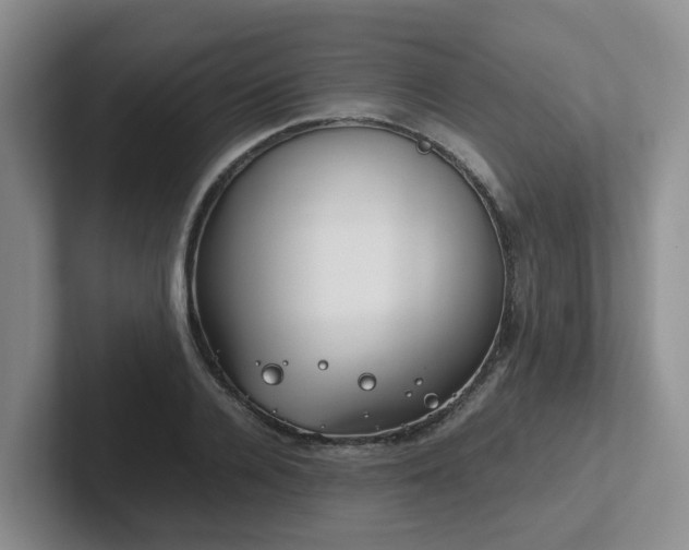 X0000102510936200808081407