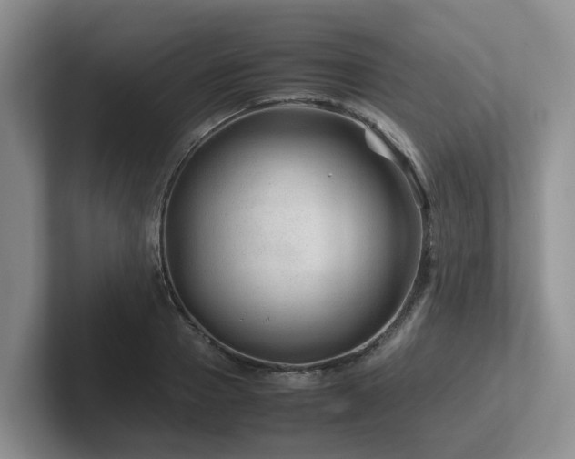 X0000102510937200808081407