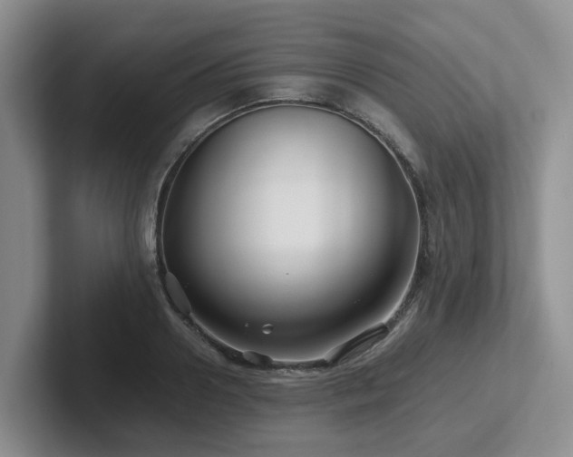 X0000102510938200808081407