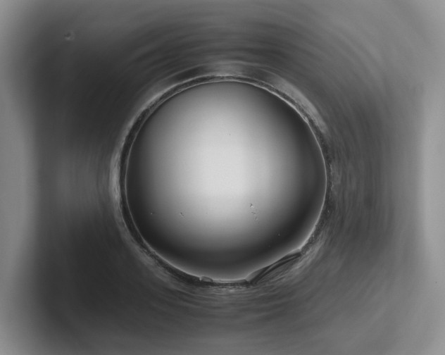 X0000102510939200808081407