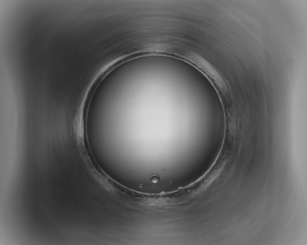 X0000102510940200808081407