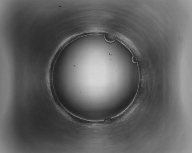 X0000102510942200808081407