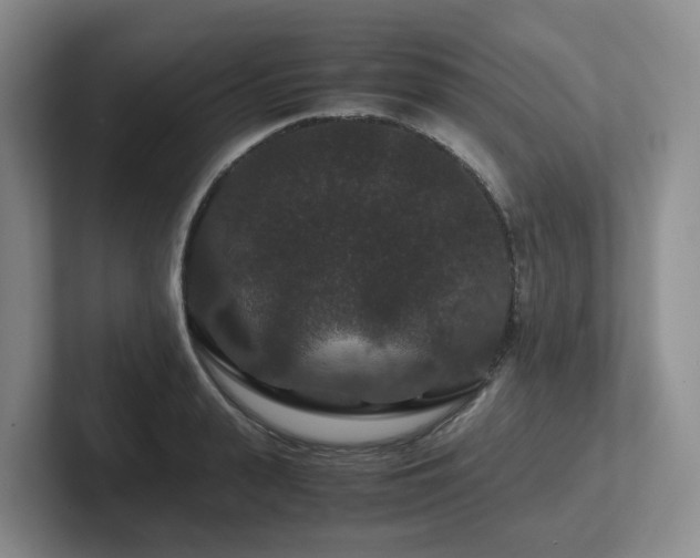 X0000102510943200808081407