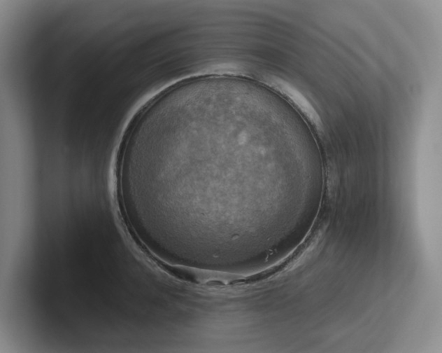 X0000102510944200808081407