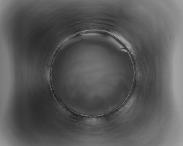 X0000102510945200808081407