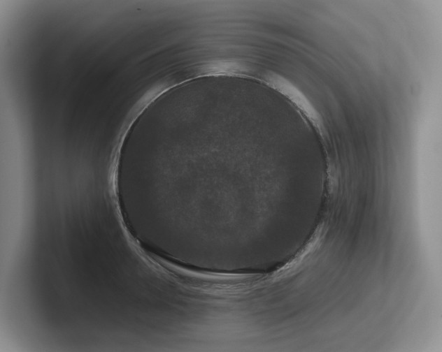 X0000102510946200808081407