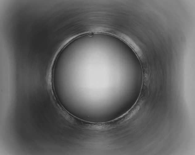 X0000102510948200808081407