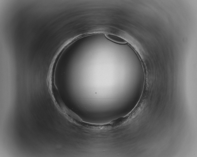 X0000102510949200808081407