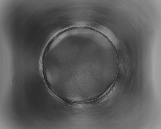 X0000102510950200808081407