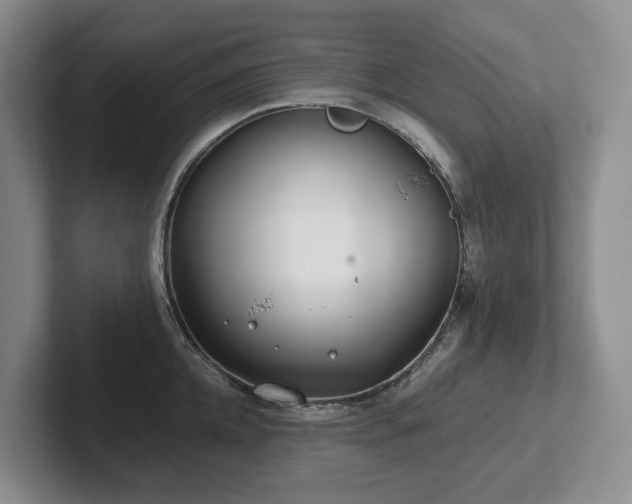 X0000102510952200808081407