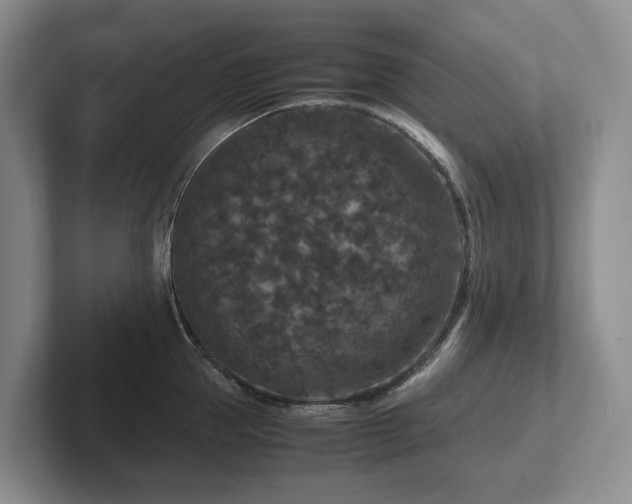 X0000102510953200808081407