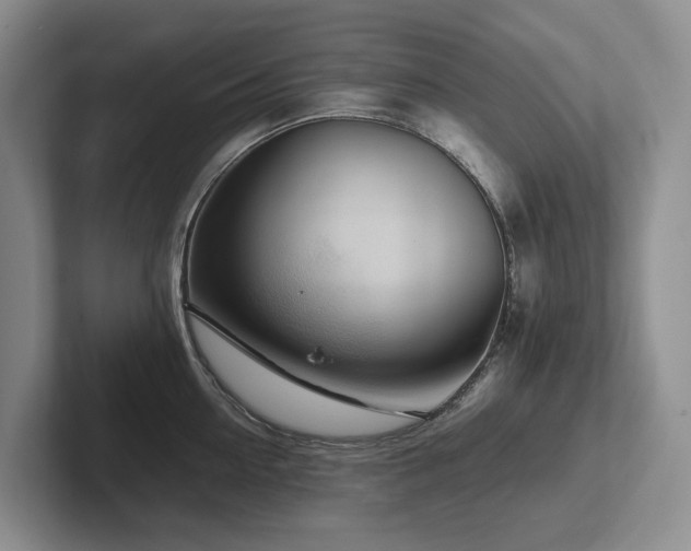 X0000102510954200808081407
