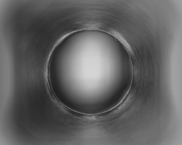 X0000102510956200808081407