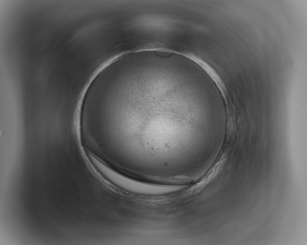X0000102510957200808081407