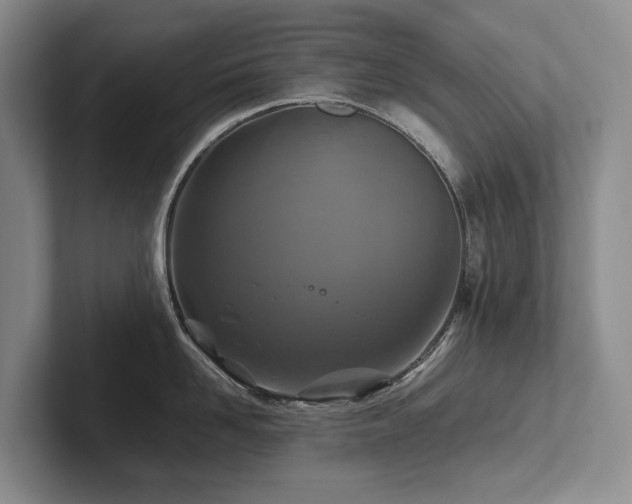 X0000102510958200808081407