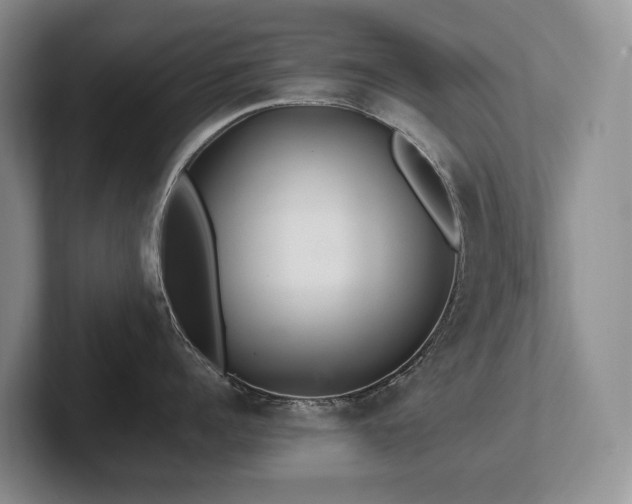 X0000102510960200808081407