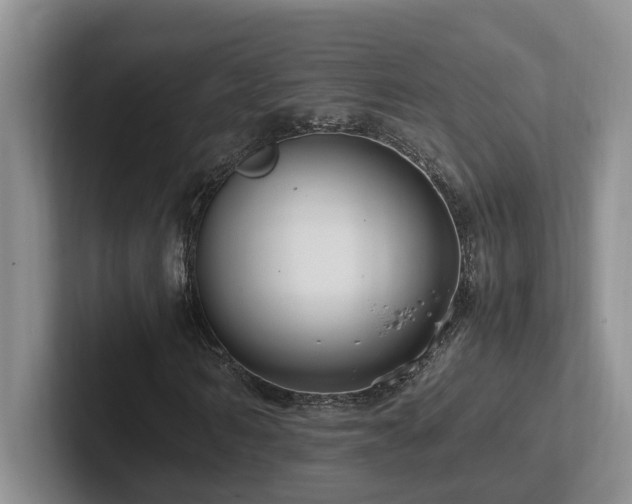 X0000102510962200808081407