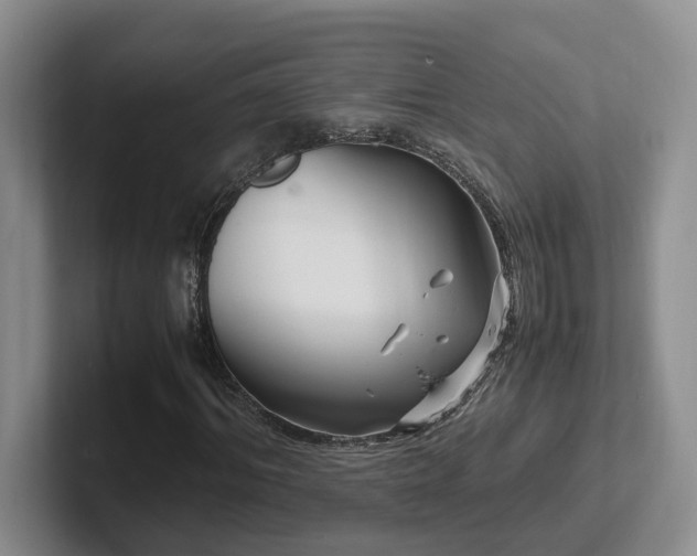 X0000102510964200808081407