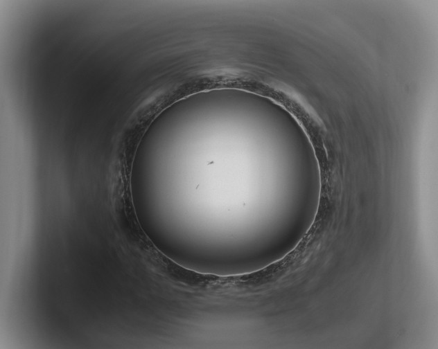 X0000102510967200808081407