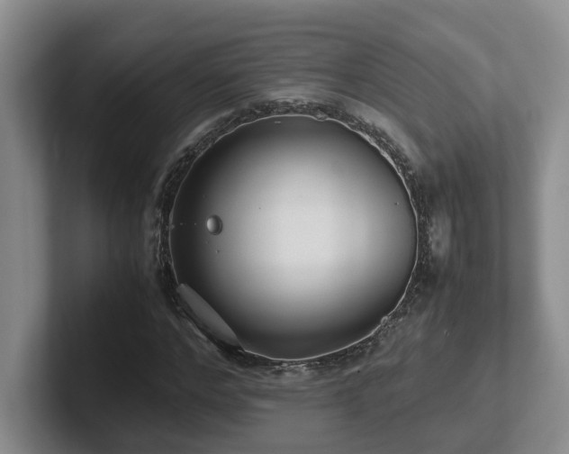 X0000102510968200808081407