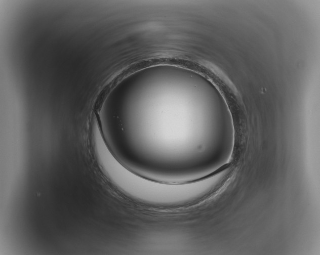 X0000102510969200808081407