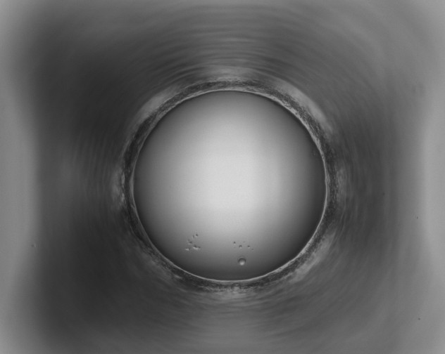 X0000102510970200808081407