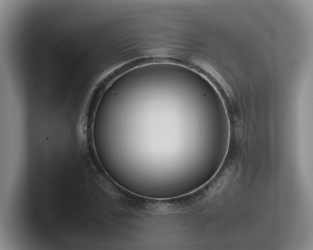 X0000102510971200808081407