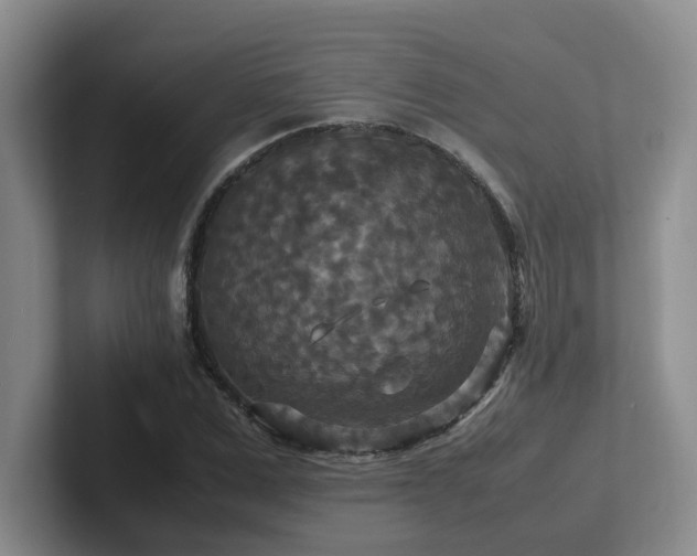 X0000102510975200808081407