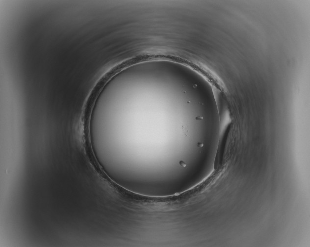 X0000102510976200808081406