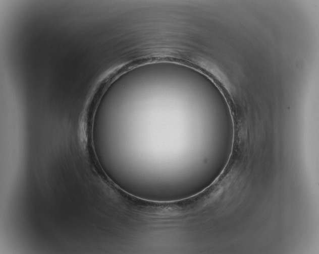 X0000102510979200808081406