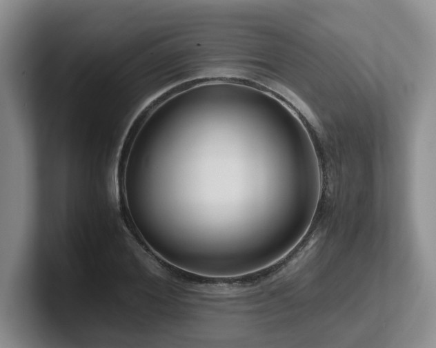 X0000102510980200808081406