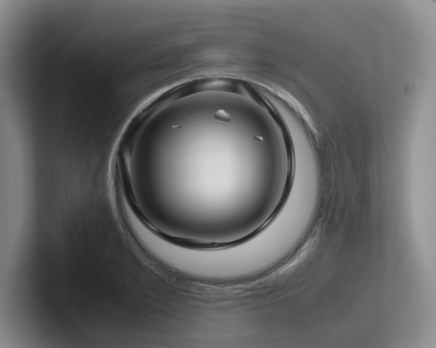 X0000102510981200808081406