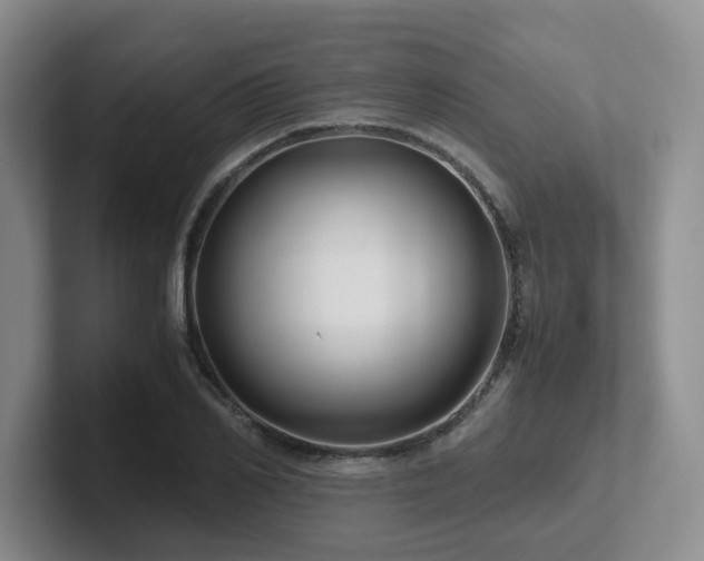 X0000102510982200808081406