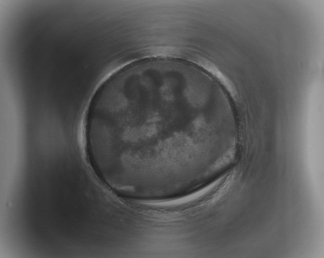 X0000102510983200808081406