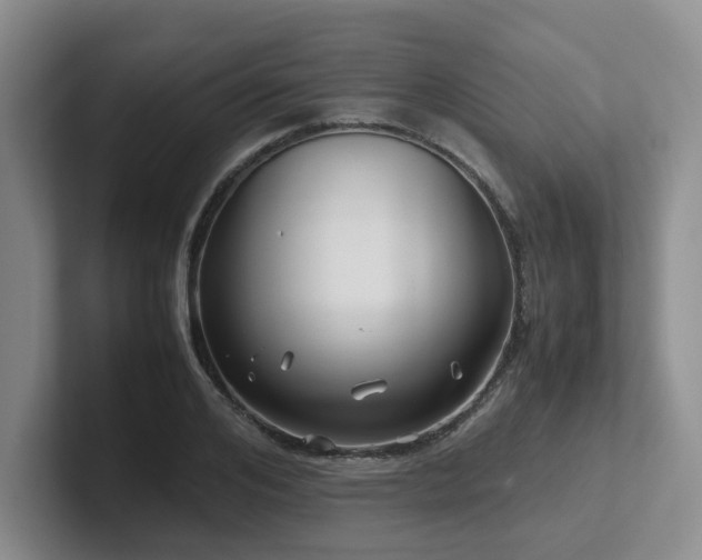 X0000102510984200808081406