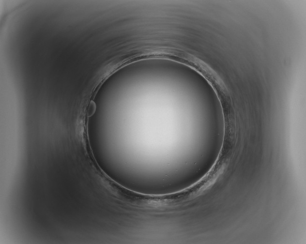 X0000102510985200808081406