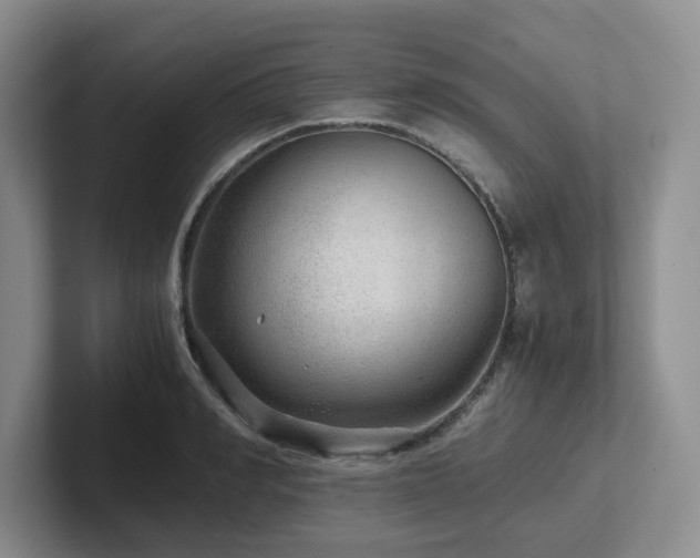 X0000102510990200808081406
