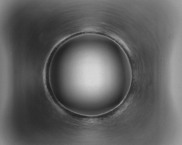 X0000102510991200808081406