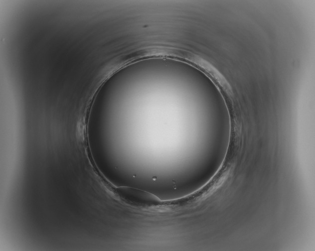 X0000102510993200808081406