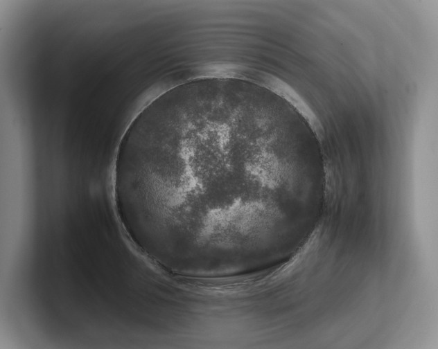 X0000102510994200808081406