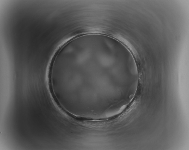 X0000102510995200808081406