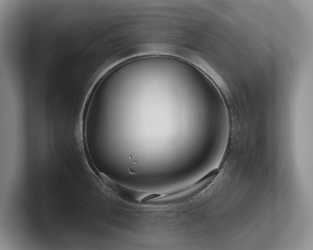 X0000102510996200808081406