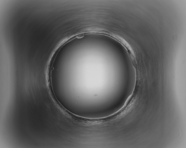 X0000102510997200808081406
